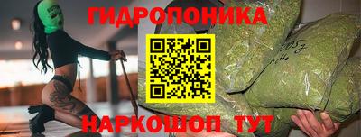 шишки Будённовск
