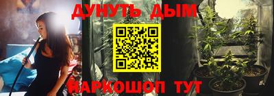 шишки Будённовск