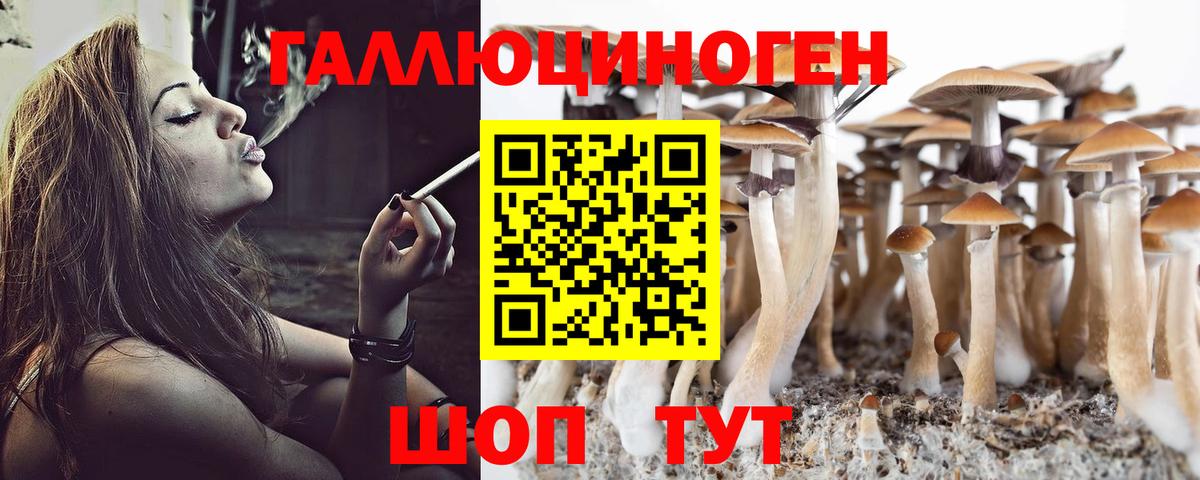 Реж  Галлюциногенные грибы GOLDEN TEACHER  Вход с VPN 