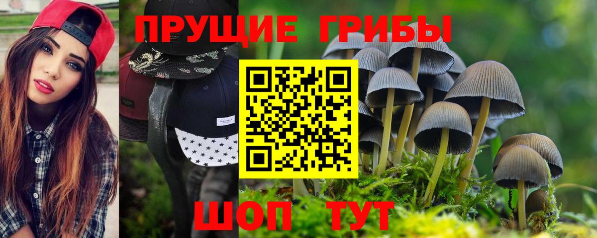 Псилоцибиновые грибы Psilocybine cubensis Реж